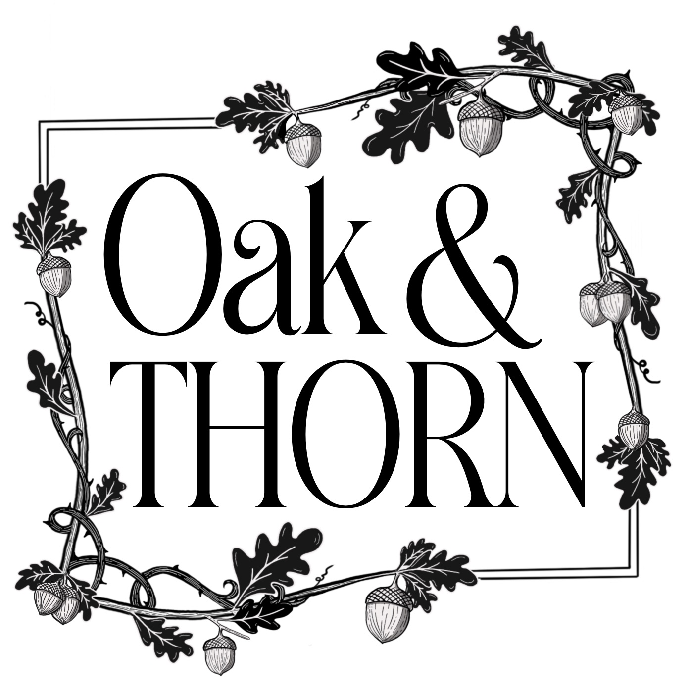 Logo design - The words "Oak & Thorne" inside a decorative boarder with acorns and oak leaves. 